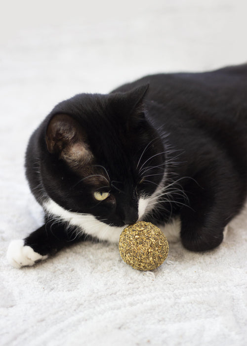 Rosewood Naturals Catnip Ball For Cats