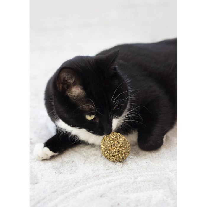 Rosewood Naturals Catnip Ball For Cats