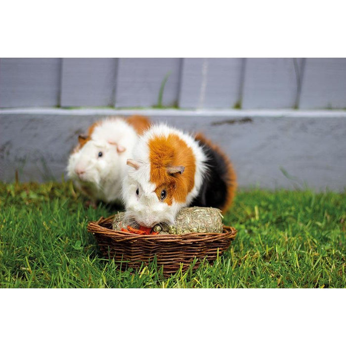 Rosewood Small Animal Willow Treat Basket