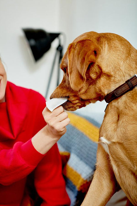 Vet's Best Clean Teeth Finger Pads