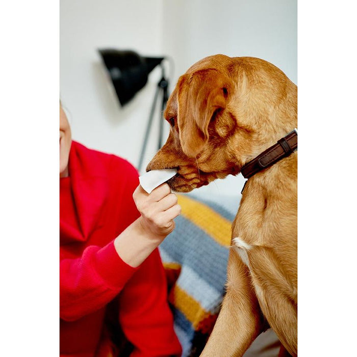 Vet's Best Clean Teeth Finger Pads